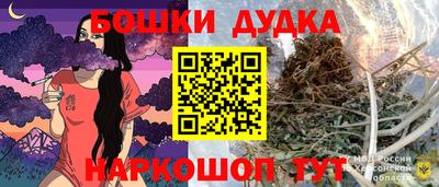 МДПВ Рыбинск